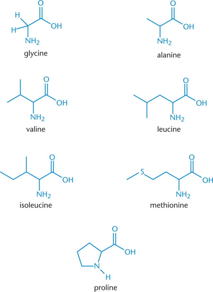Валин глицин лейцин. Глицин аланин метионин. Пролин аминокислота. Глицин с метионином. Non Polar Amino acids.